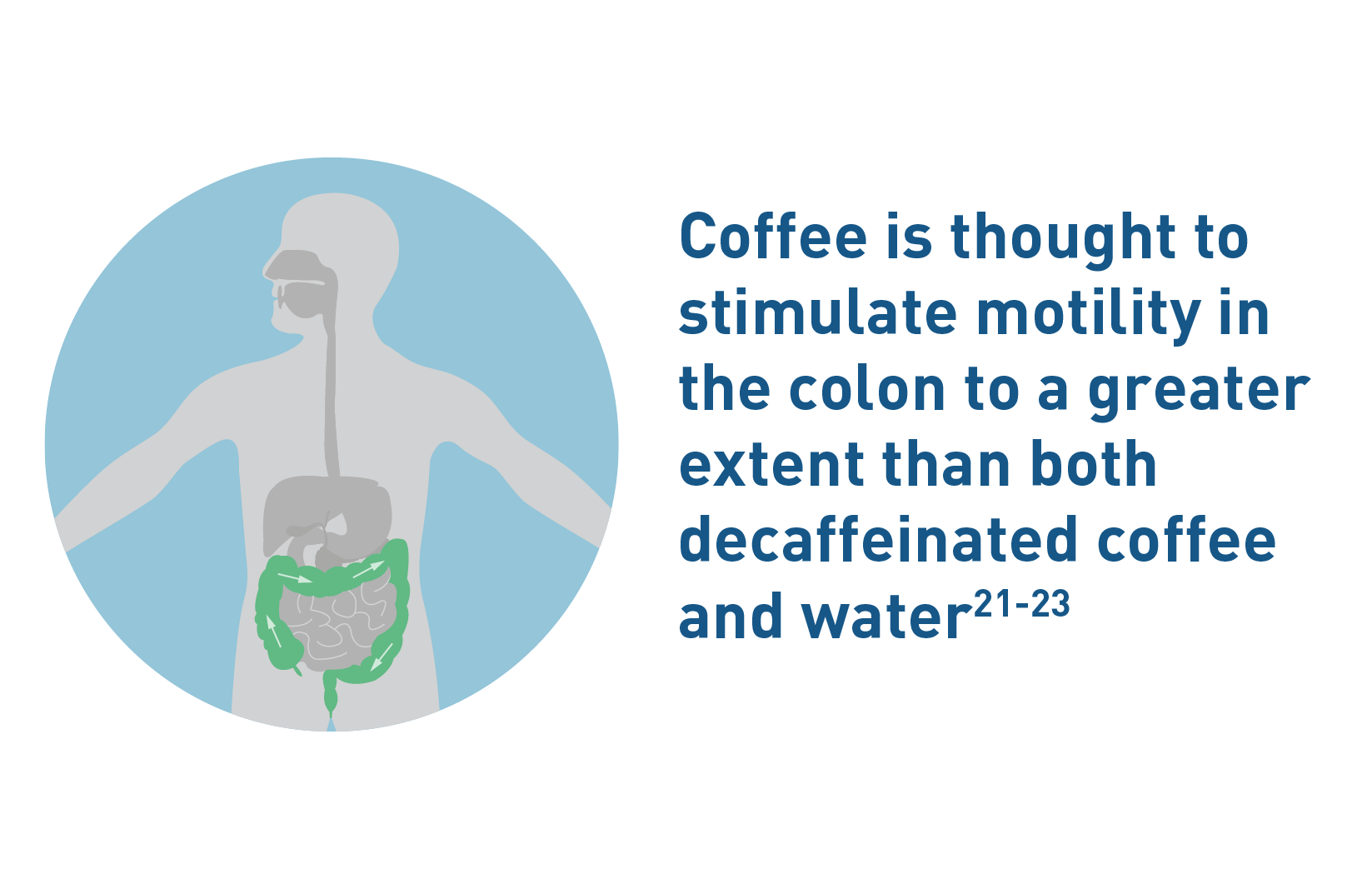 Coffee and disorders of the large intestine - Coffee and Health