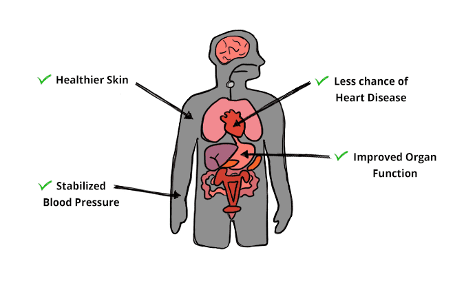 coffee effects on the body in general