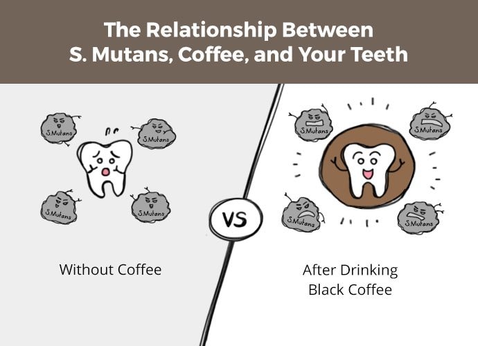 Teeth being attacked by bacteria